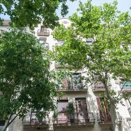 Gir80 Eixample Casanova 72 Barcelone